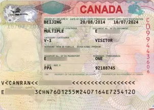 加拿大签证背景调查多长时间