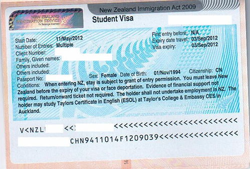 新西兰留学签证中介