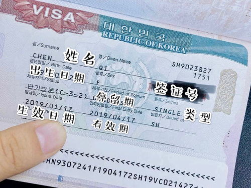 韩国签证资料要求