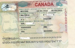 加拿大长期工作签证好办吗
