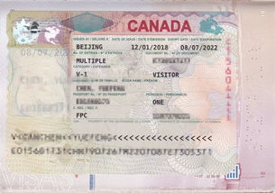 加拿大短期访学签证