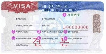 韩国签证身体检查项目表
