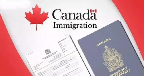 加拿大工作签证所需材料