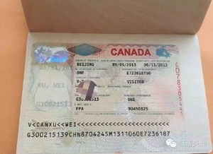 加拿大旅游签证需要面签吗