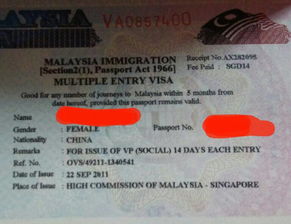 新加坡学生签证延期办理要多久