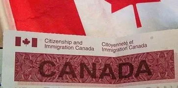 加拿大工作签证多少钱几万元